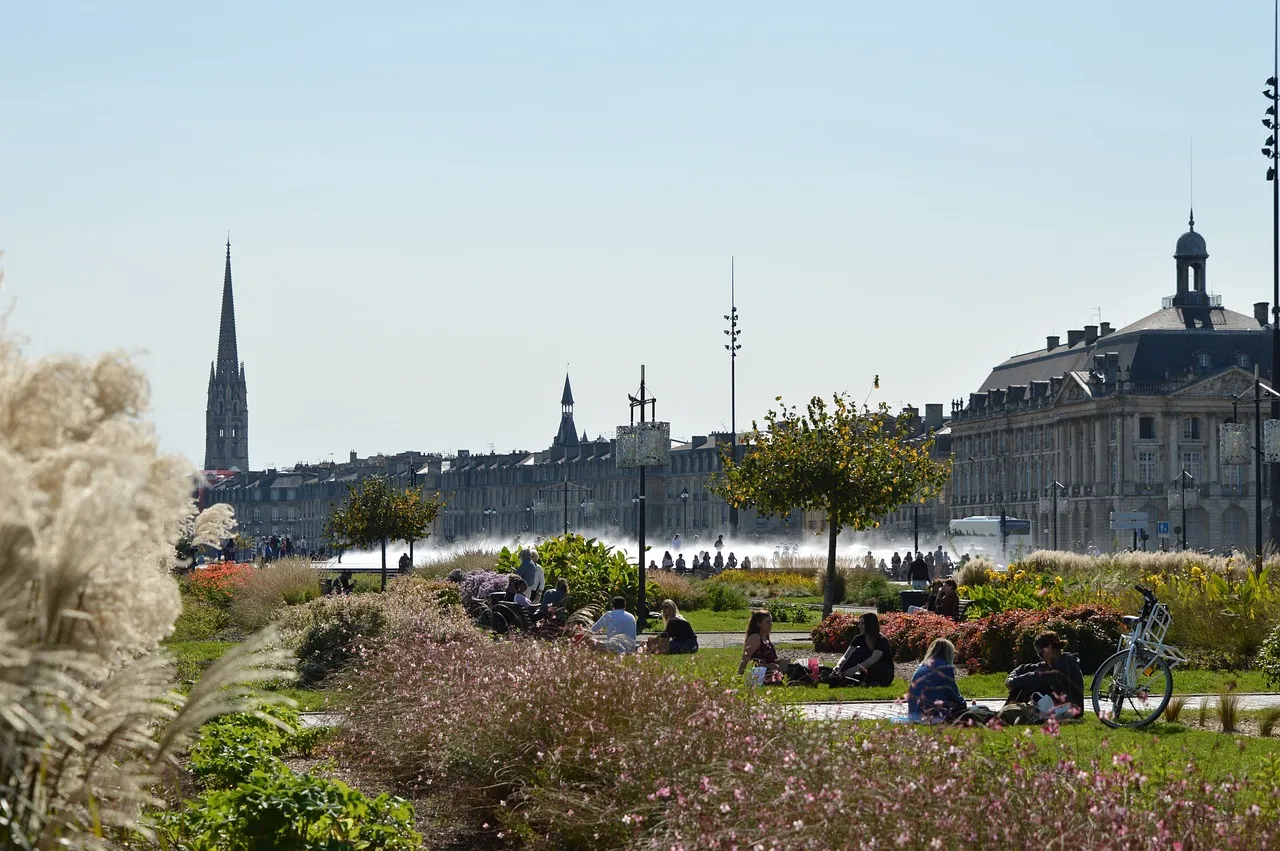 consultant SEO bordeaux